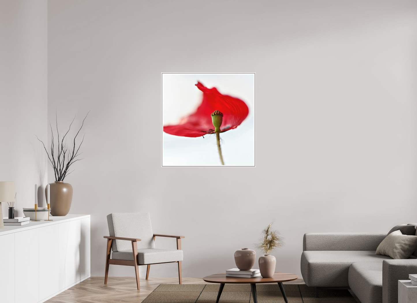 Klatschmohn | Teltow, Brandenburg