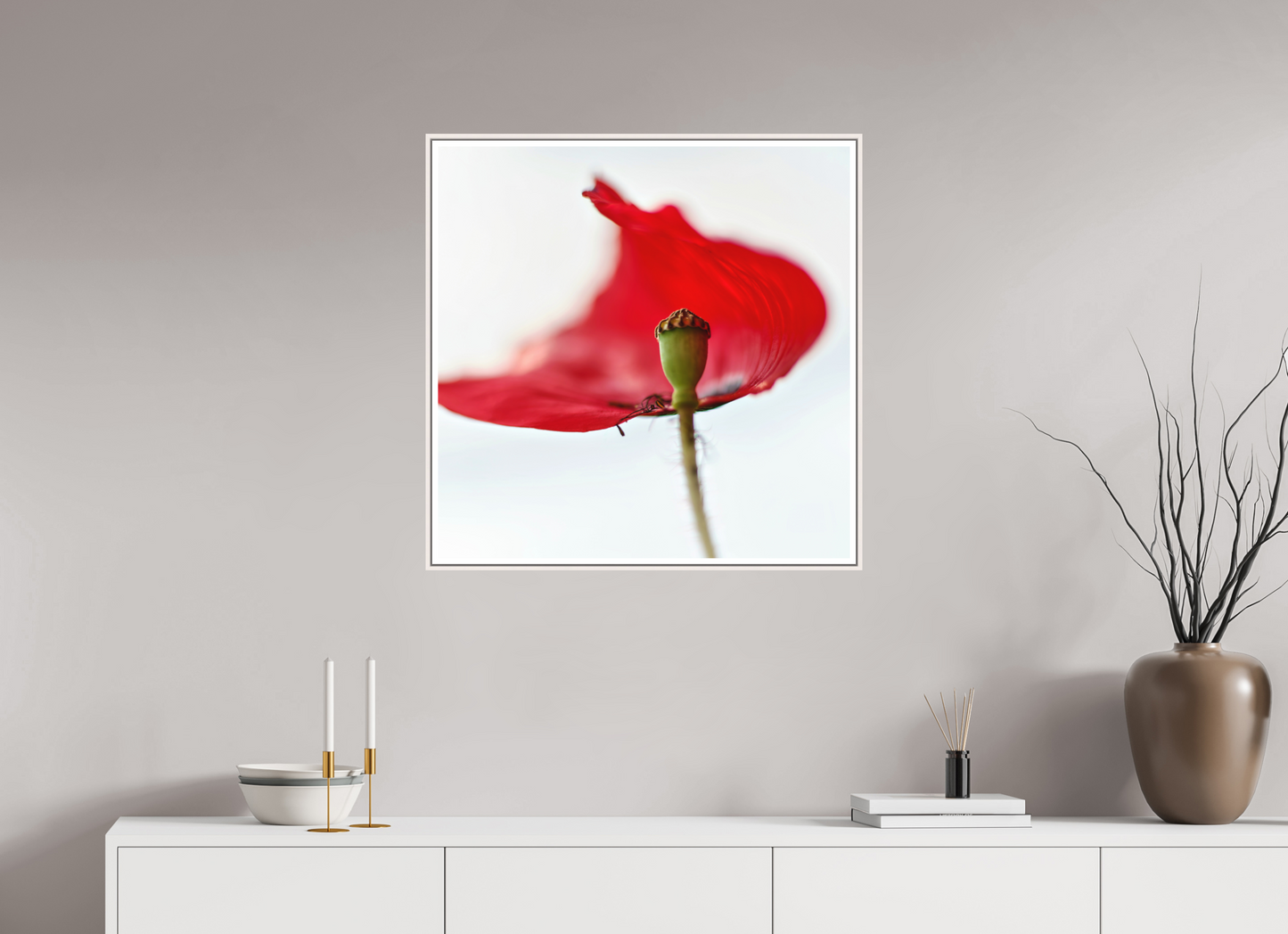 Klatschmohn | Teltow, Brandenburg