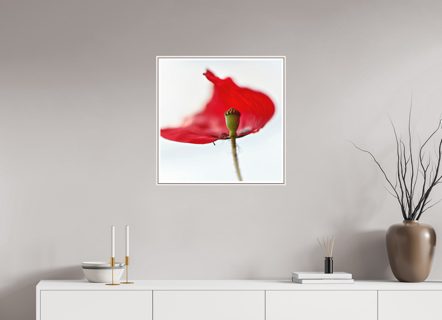 Klatschmohn | Teltow, Brandenburg