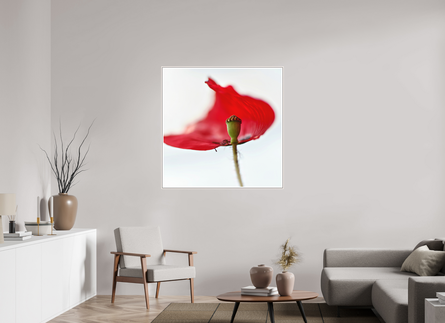 Klatschmohn | Teltow, Brandenburg