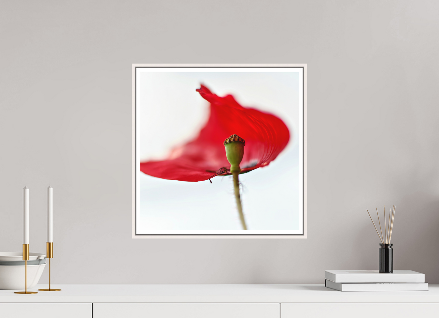 Klatschmohn | Teltow, Brandenburg