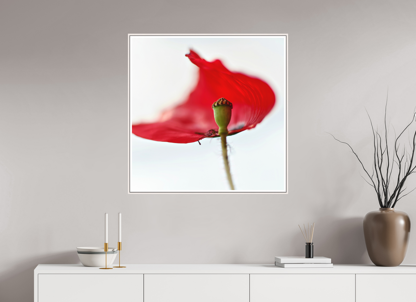 Klatschmohn | Teltow, Brandenburg